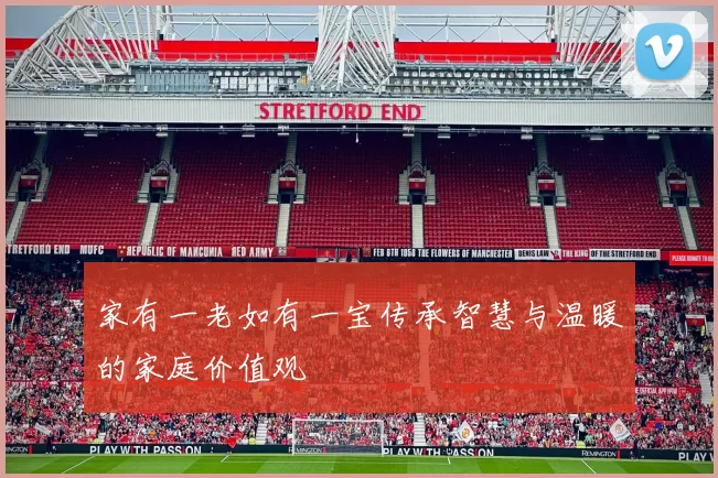 家有一老如有一宝传承智慧与温暖的家庭价值观